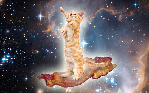 bacon-space-kitty-22180-1278510824-21