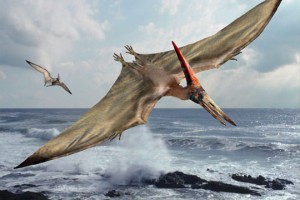 pteranodon