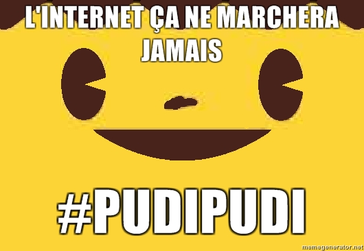 LINTERNET-A-NE-MARCHERA-JAMAIS-pudipudi