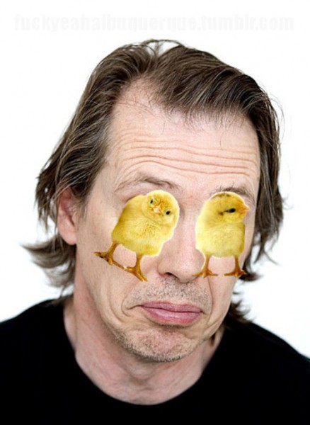 Buscemi chicks eyes